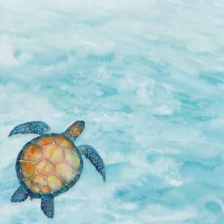 Scrapbook Customs Watercolor Safari Sea Turtle Safari