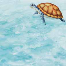 Scrapbook Customs Watercolor Safari Sea Turtle Safari