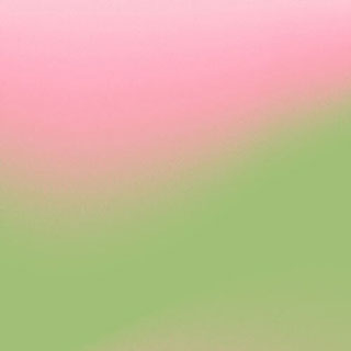 Scrapbook Customs Pink & Green (Wicked)