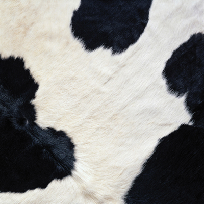 PATTERN FOR COW - FREE PATTERNS